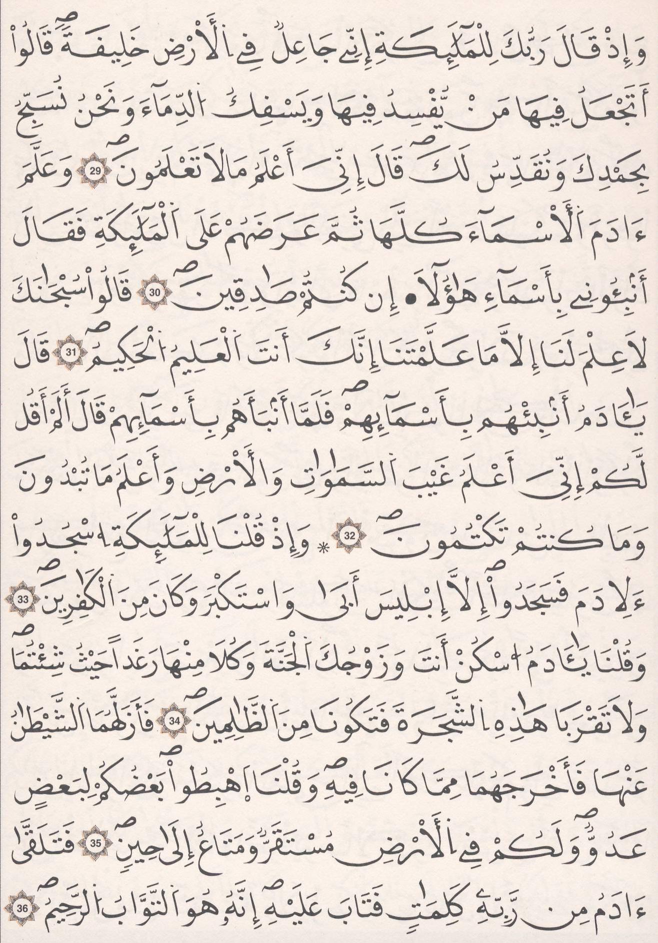 مصحف الداني - صفحة 6
