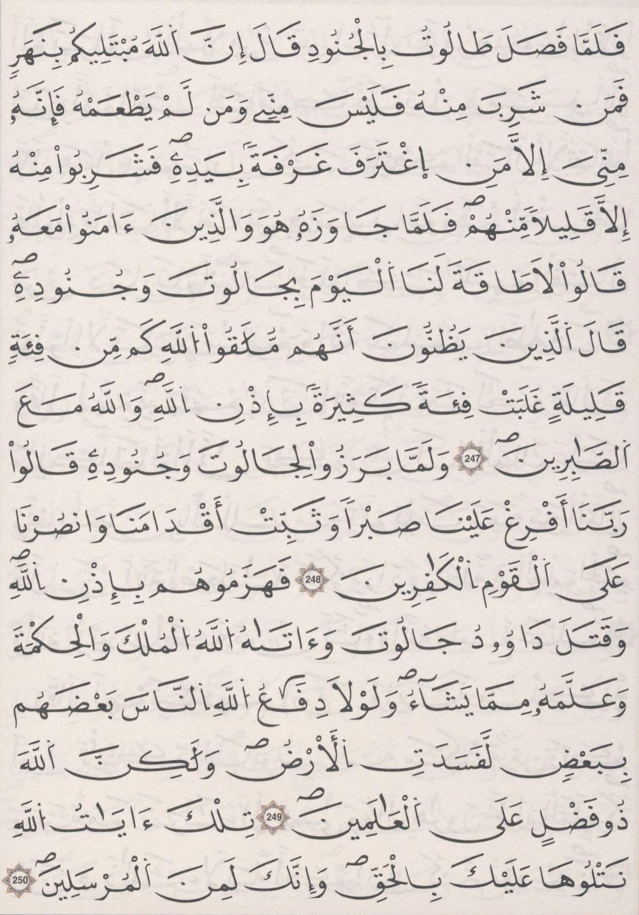 مصحف الداني - صفحة 41