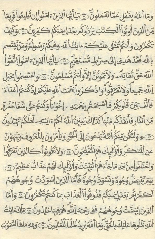 مصحف الخراز - صفحة 53