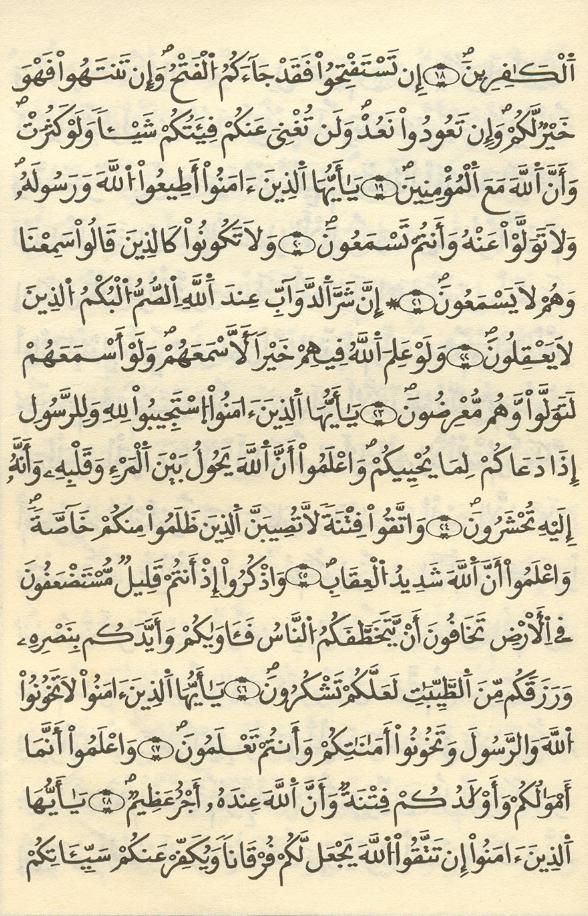 مصحف الخراز - صفحة 147