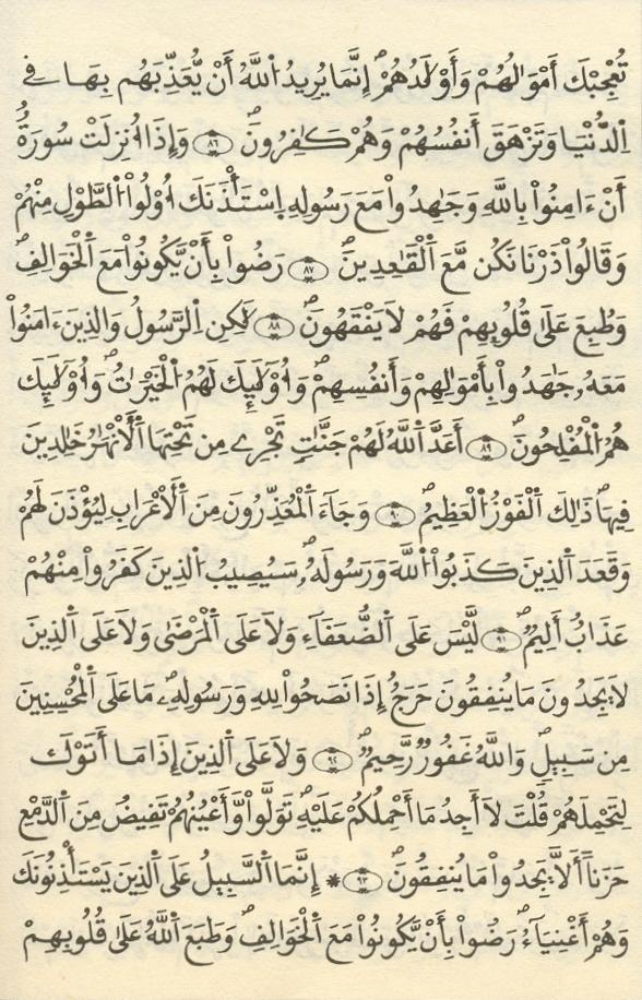 مصحف الخراز - صفحة 164