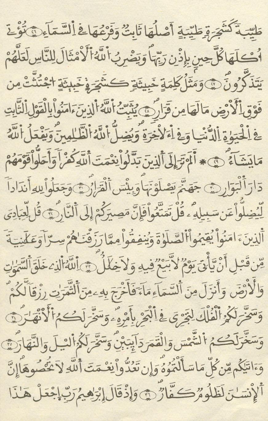 مصحف الخراز - صفحة 214