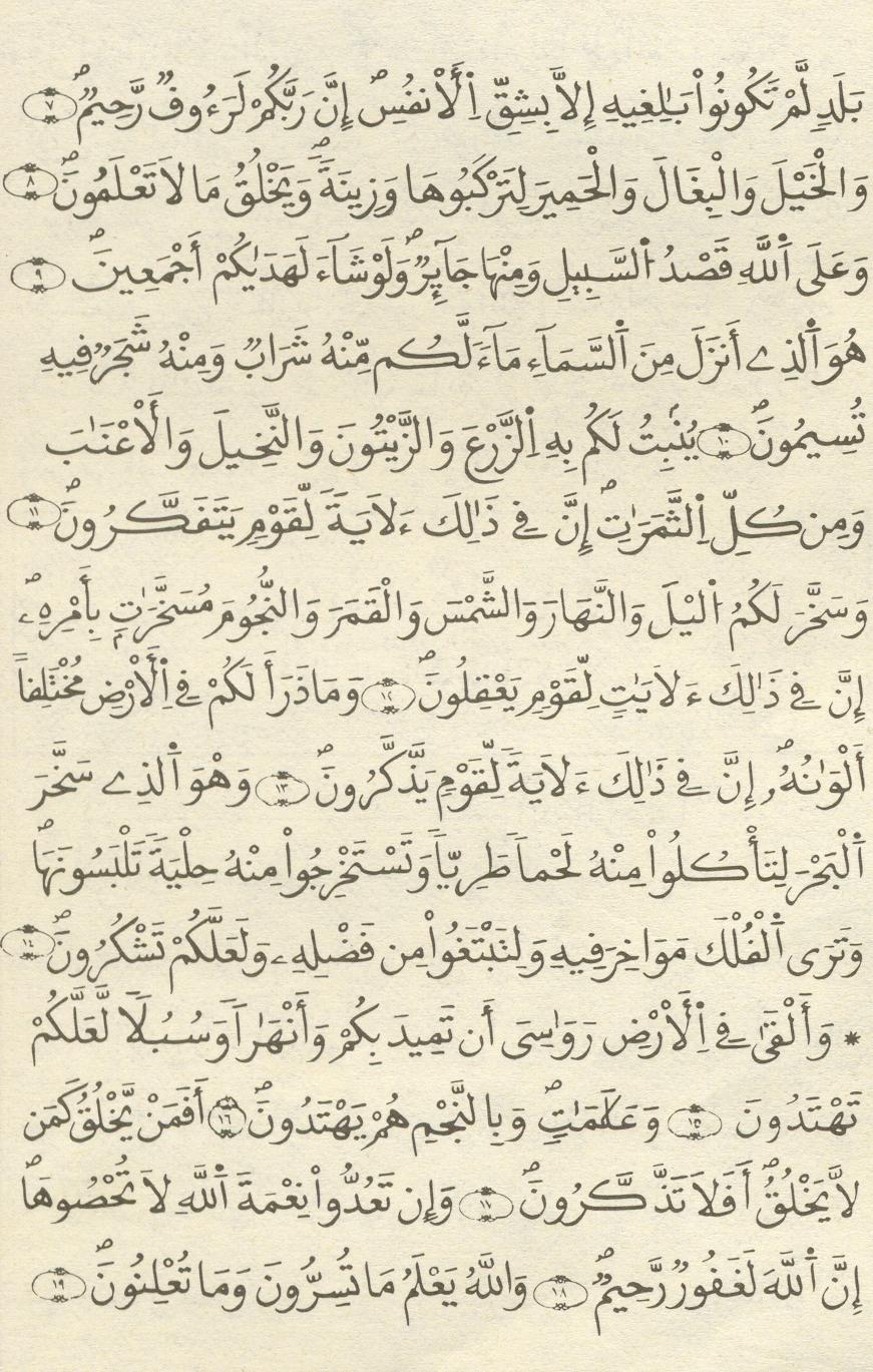 مصحف الخراز - صفحة 222