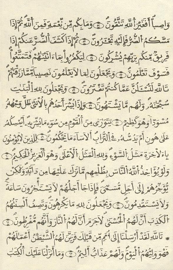 مصحف الخراز - صفحة 226