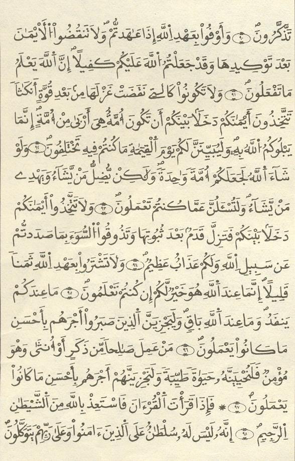 مصحف الخراز - صفحة 230