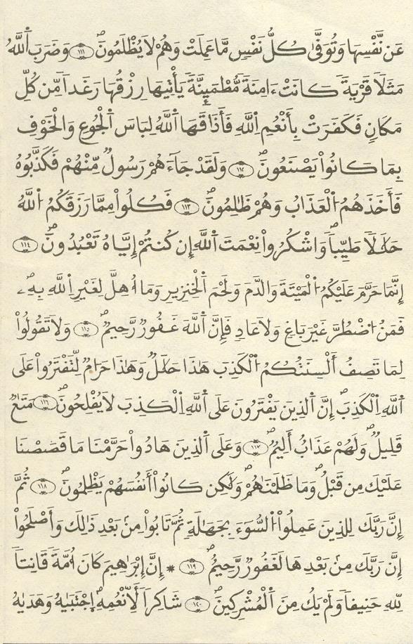 مصحف الخراز - صفحة 232
