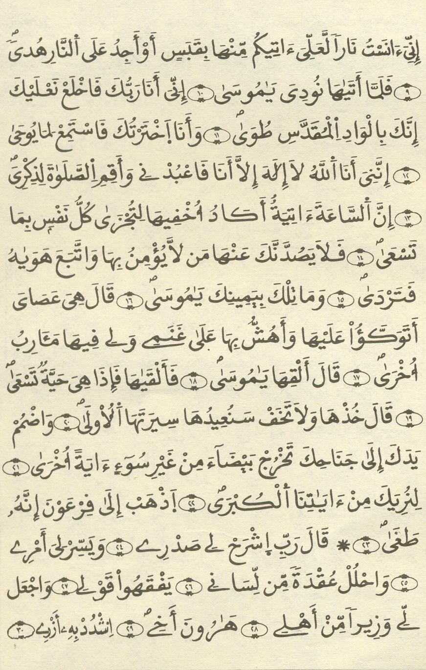 مصحف الخراز - صفحة 262
