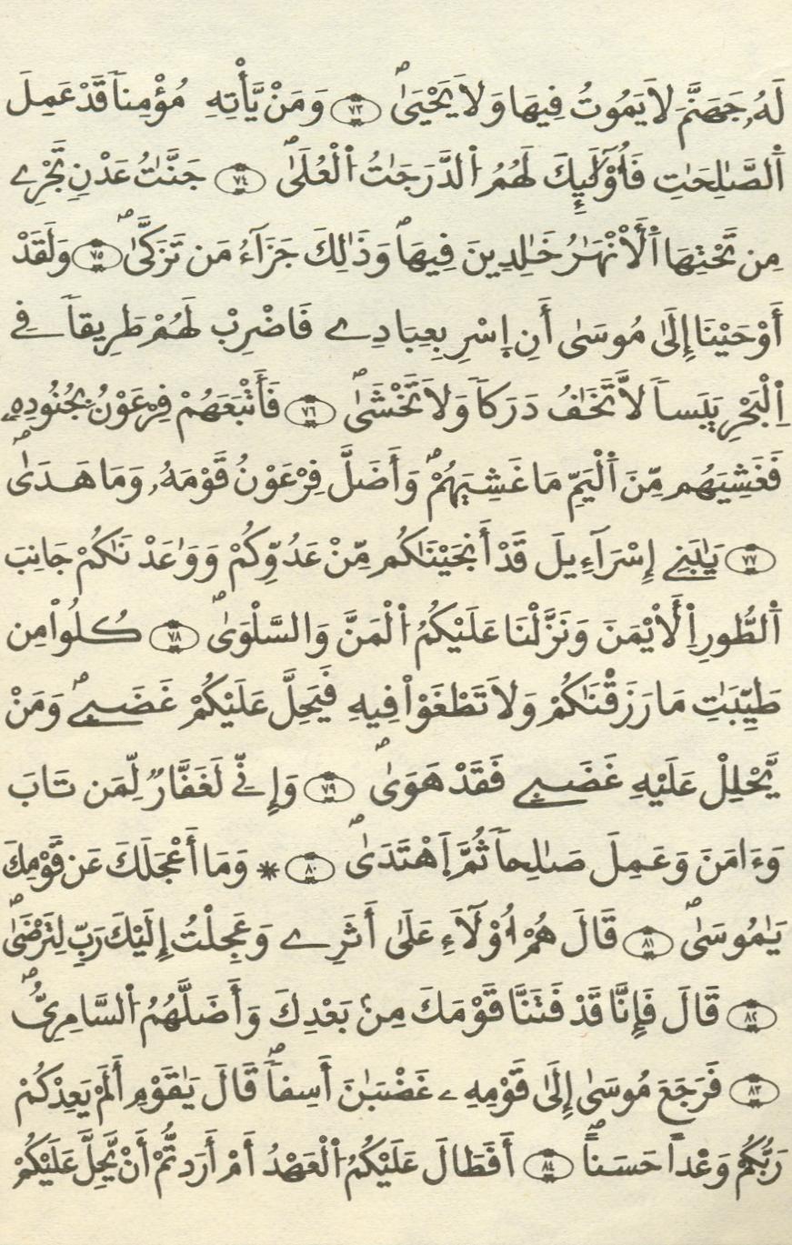 مصحف الخراز - صفحة 266