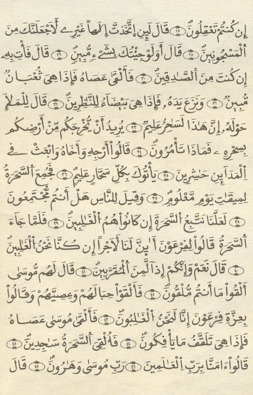مصحف الخراز - صفحة 316