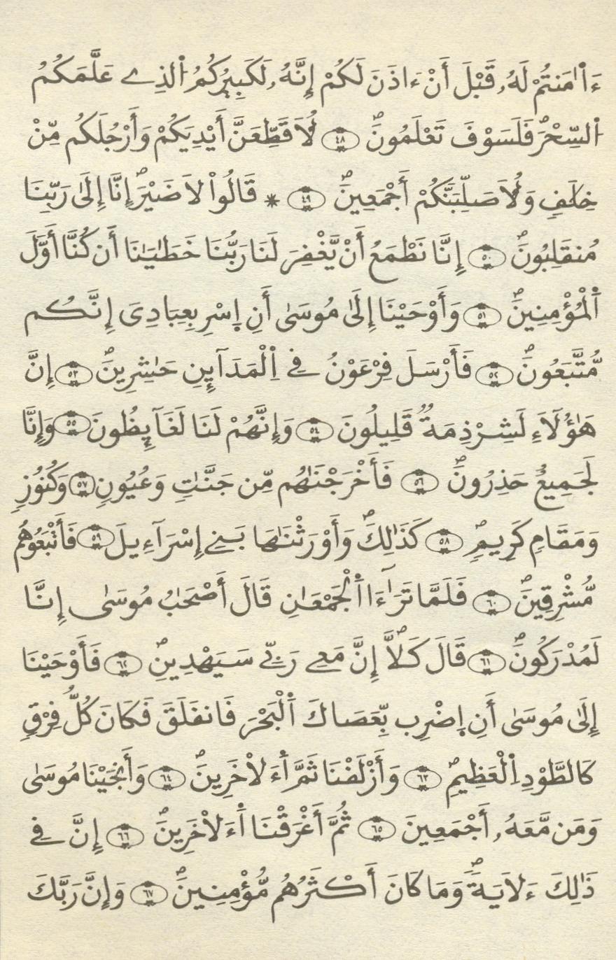 مصحف الخراز - صفحة 317