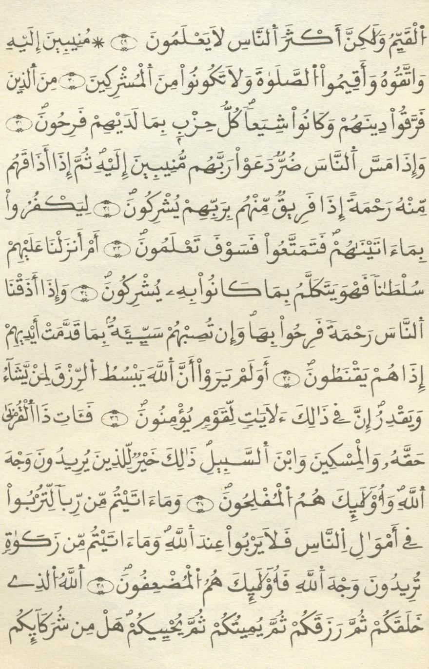 مصحف الخراز - صفحة 355
