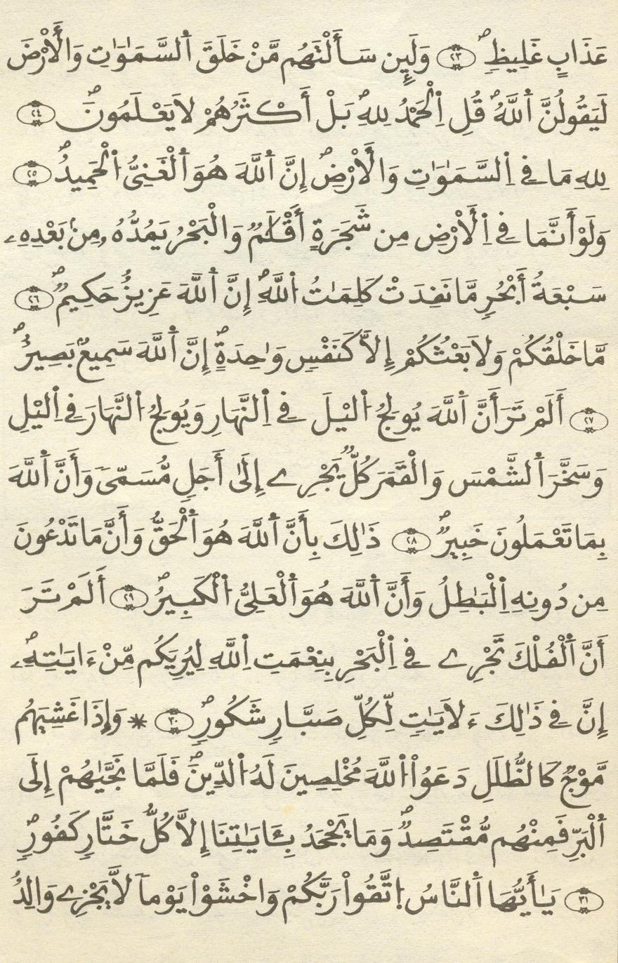 مصحف الخراز - صفحة 361