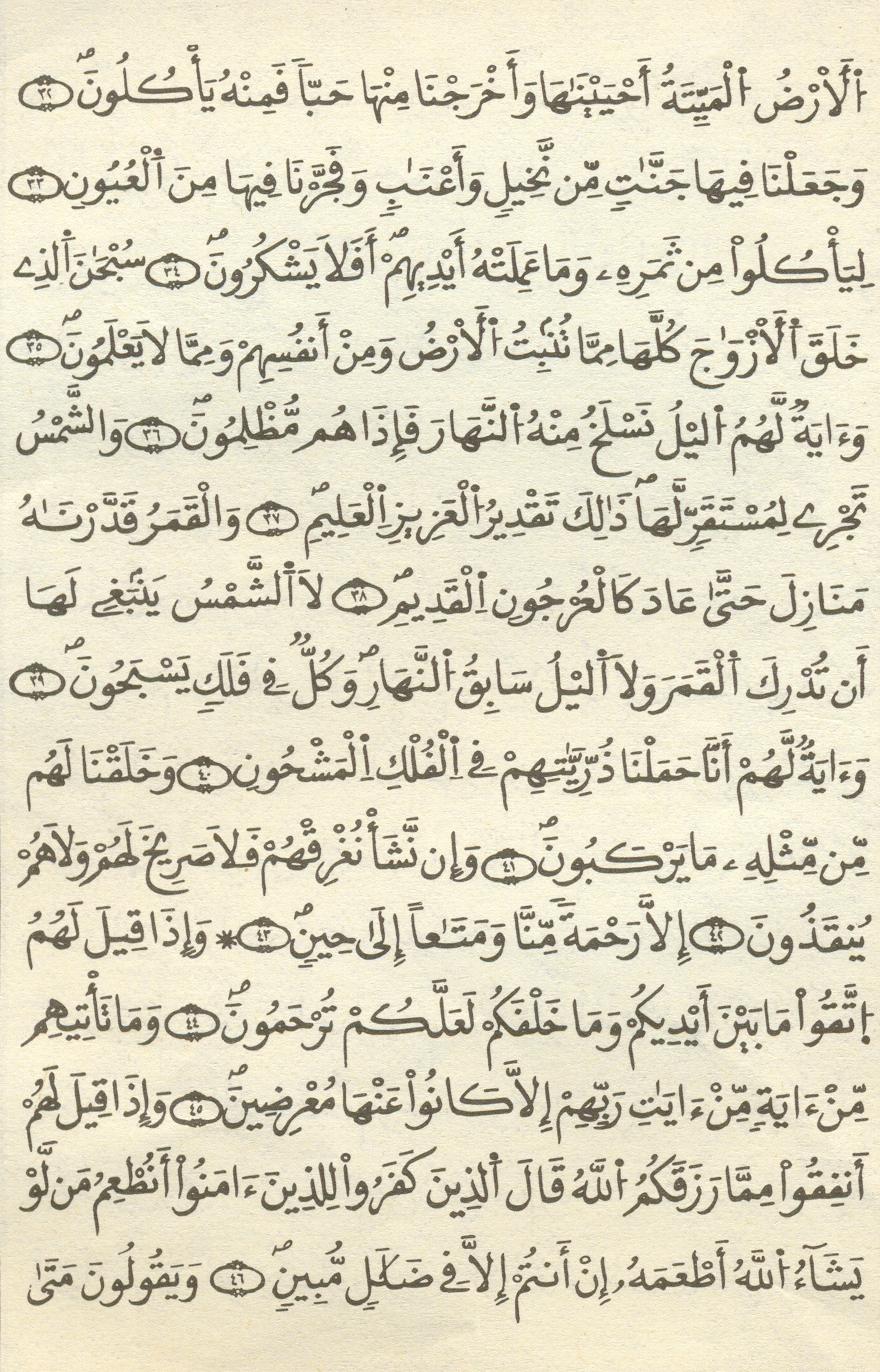 مصحف الخراز - صفحة 391