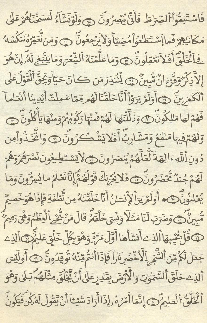 مصحف الخراز - صفحة 393
