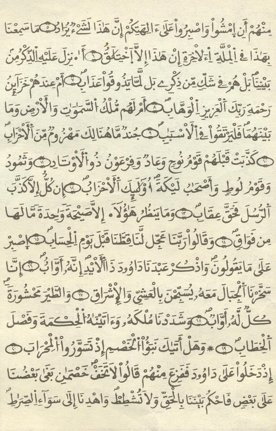 مصحف الخراز - صفحة 401