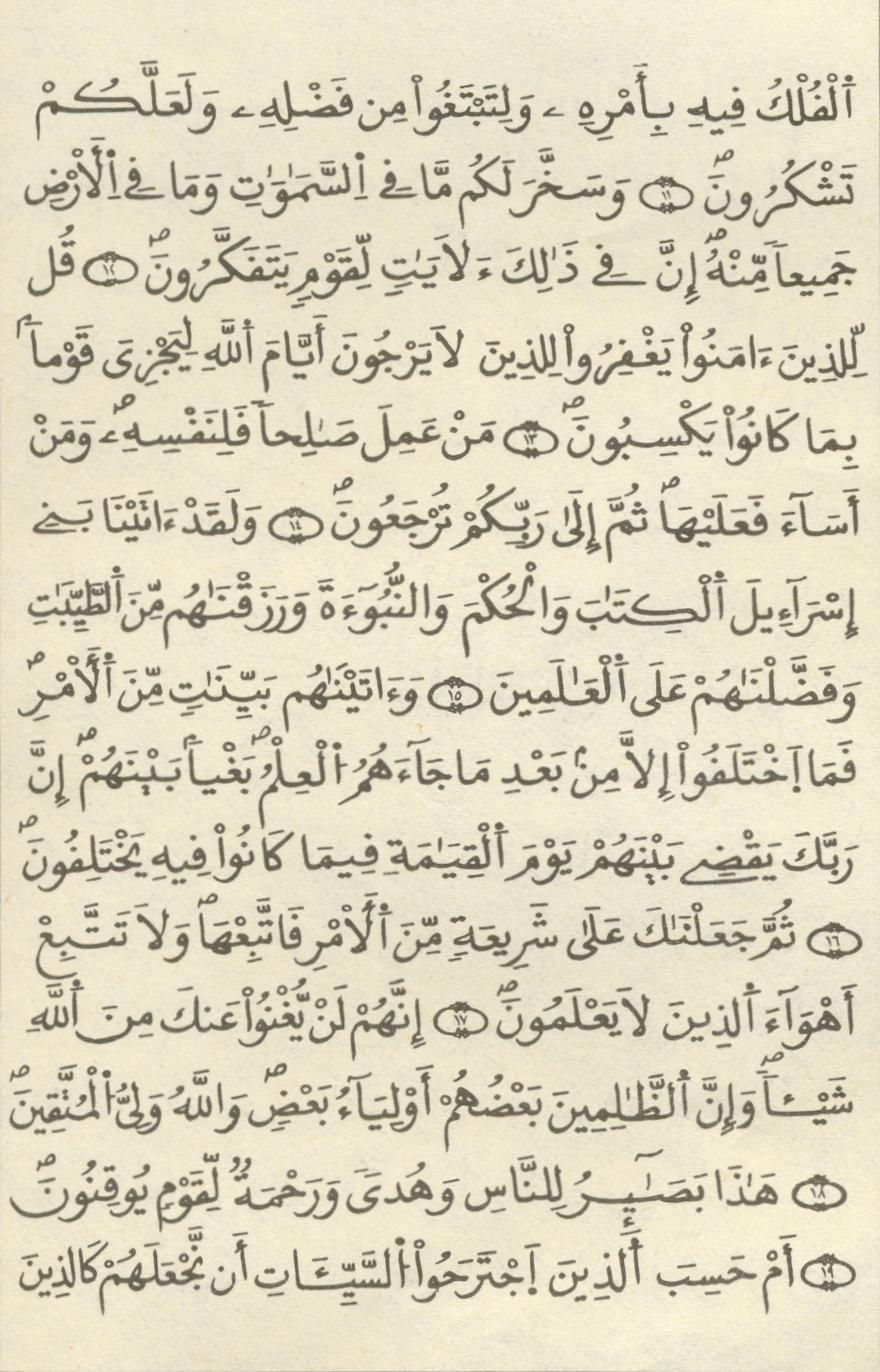 مصحف الخراز - صفحة 446