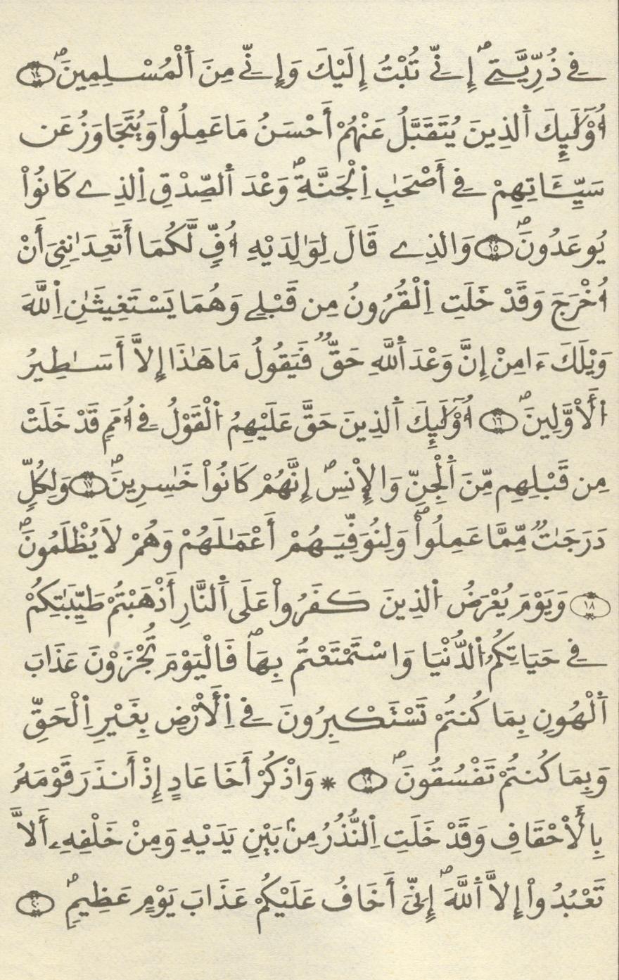 مصحف الخراز - صفحة 451