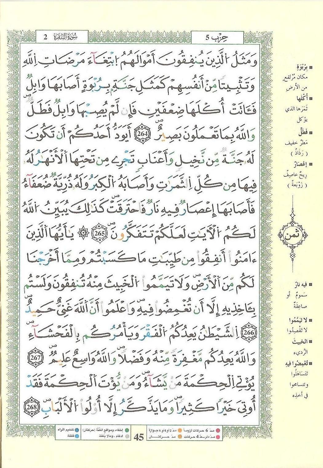 مصحف التجويد - صفحة 45