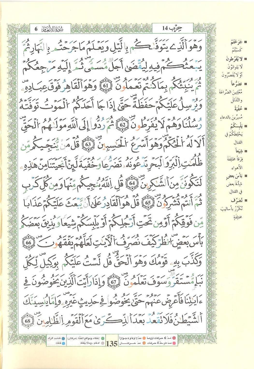 مصحف التجويد - صفحة 135