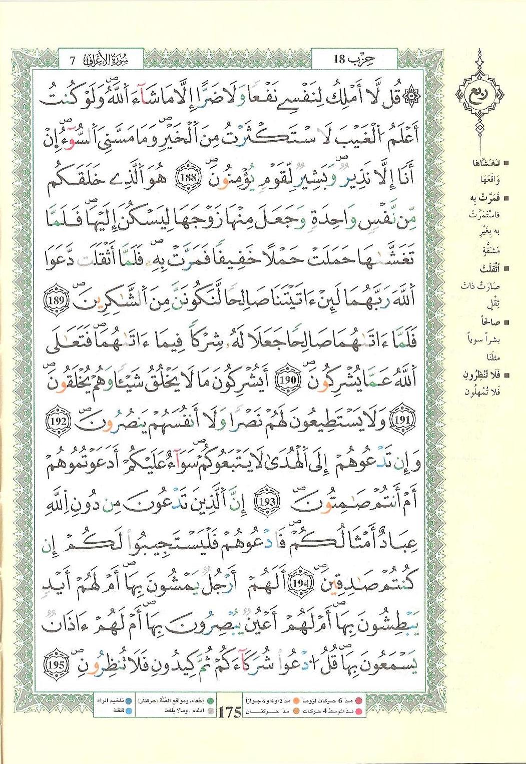 مصحف التجويد - صفحة 175