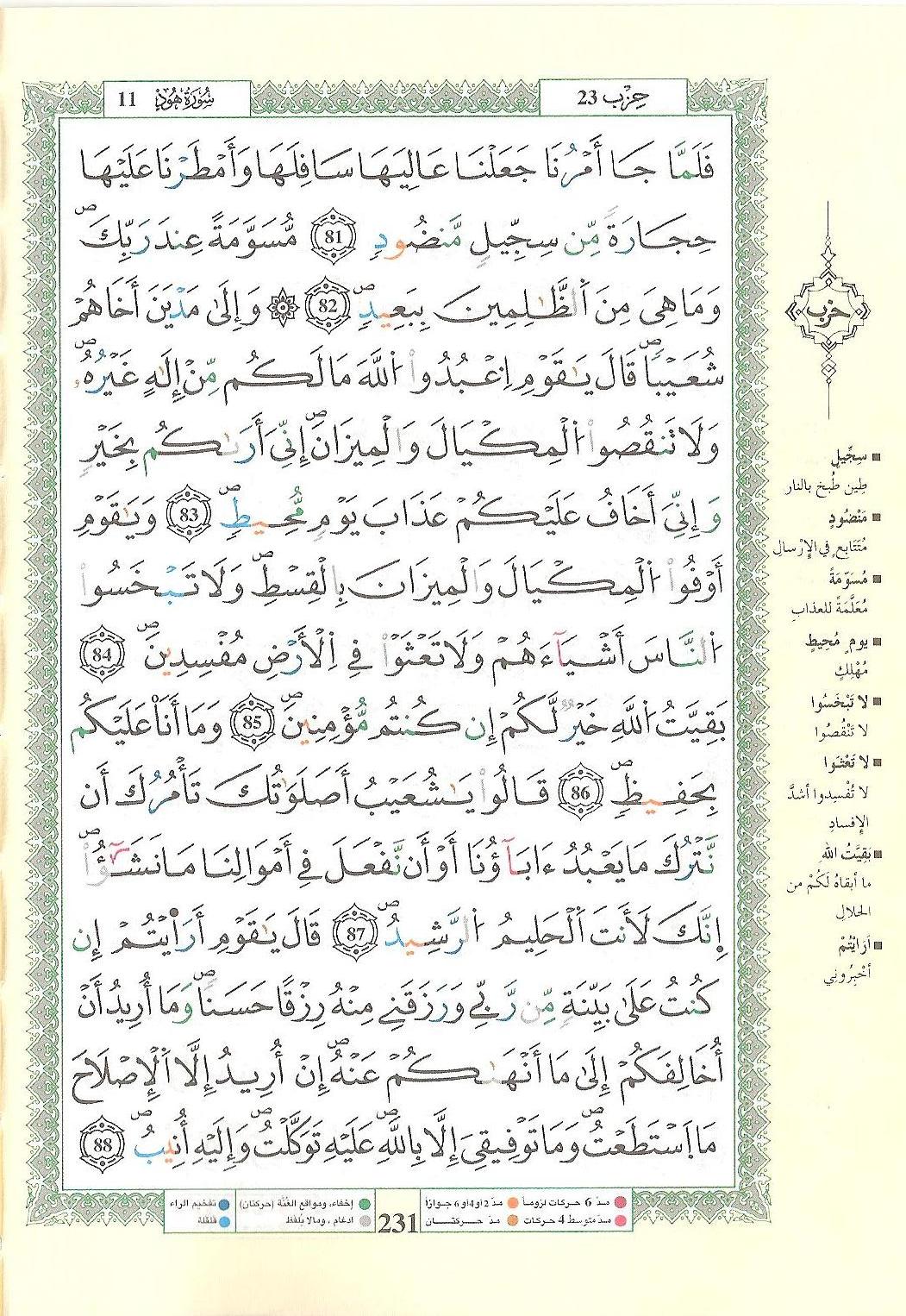 مصحف التجويد - صفحة 231