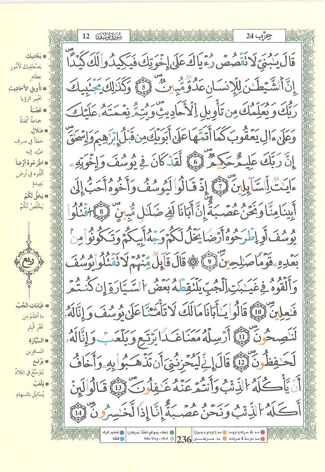 مصحف التجويد - صفحة 236