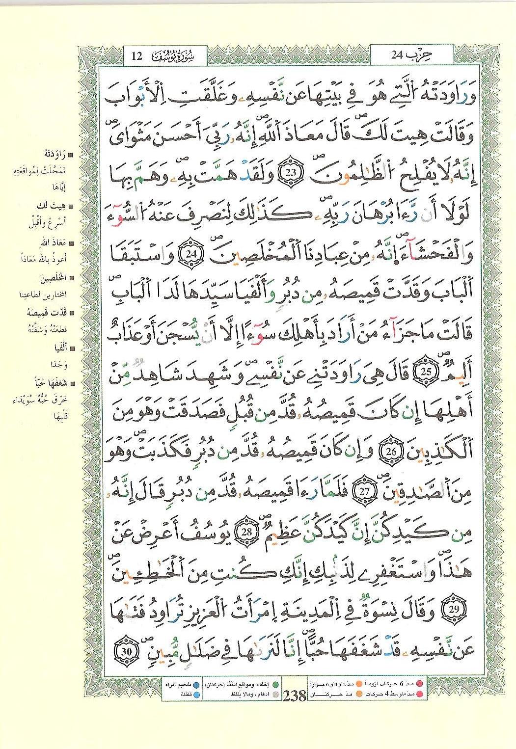 مصحف التجويد - صفحة 238