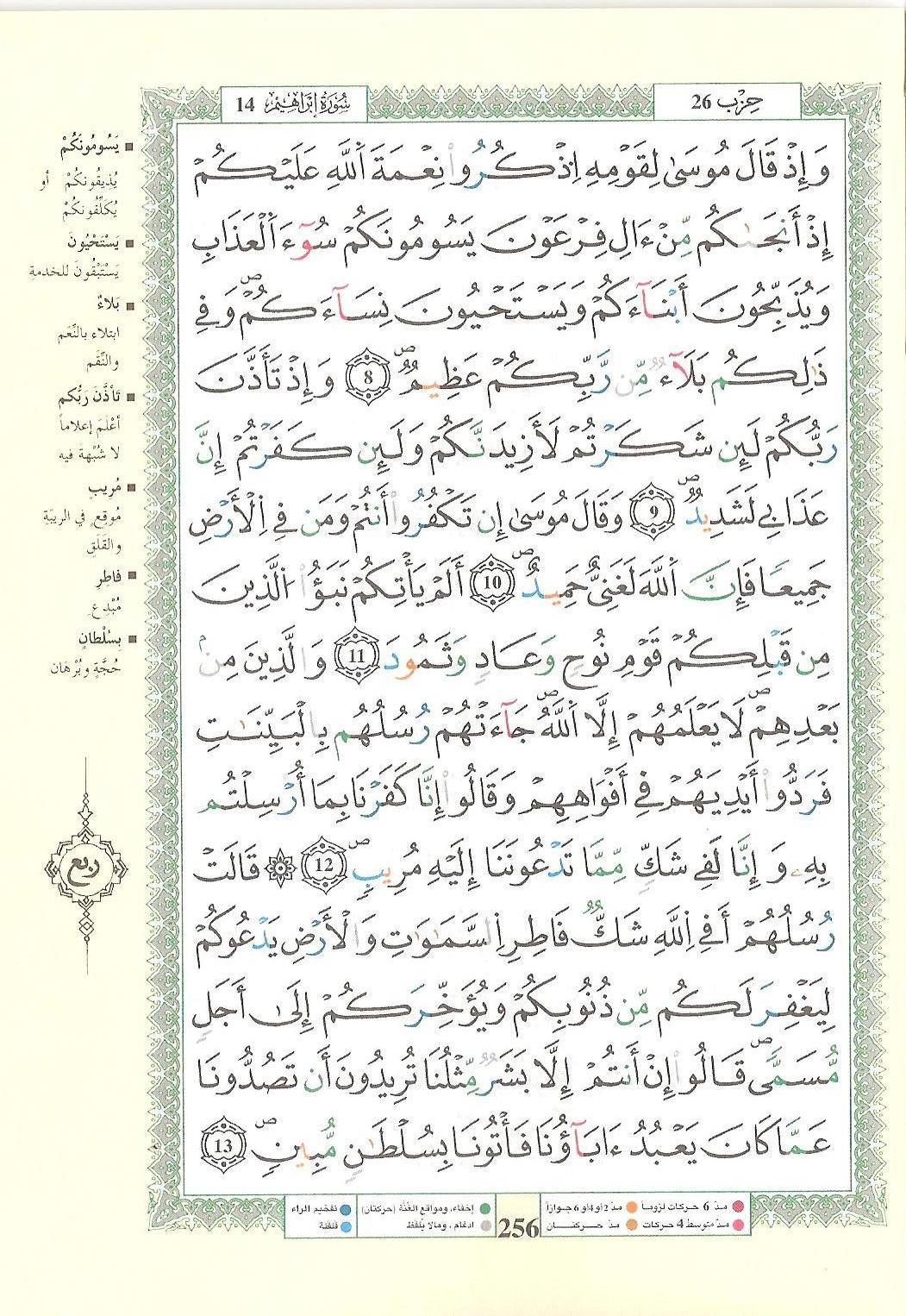 مصحف التجويد - صفحة 256