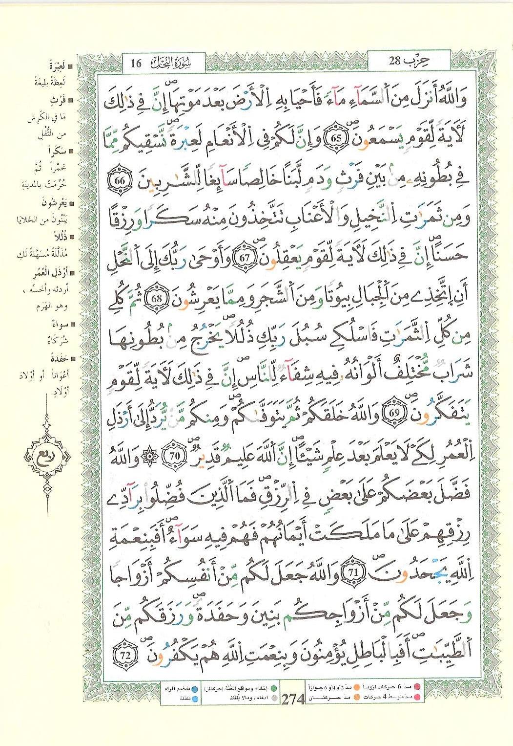 مصحف التجويد - صفحة 274