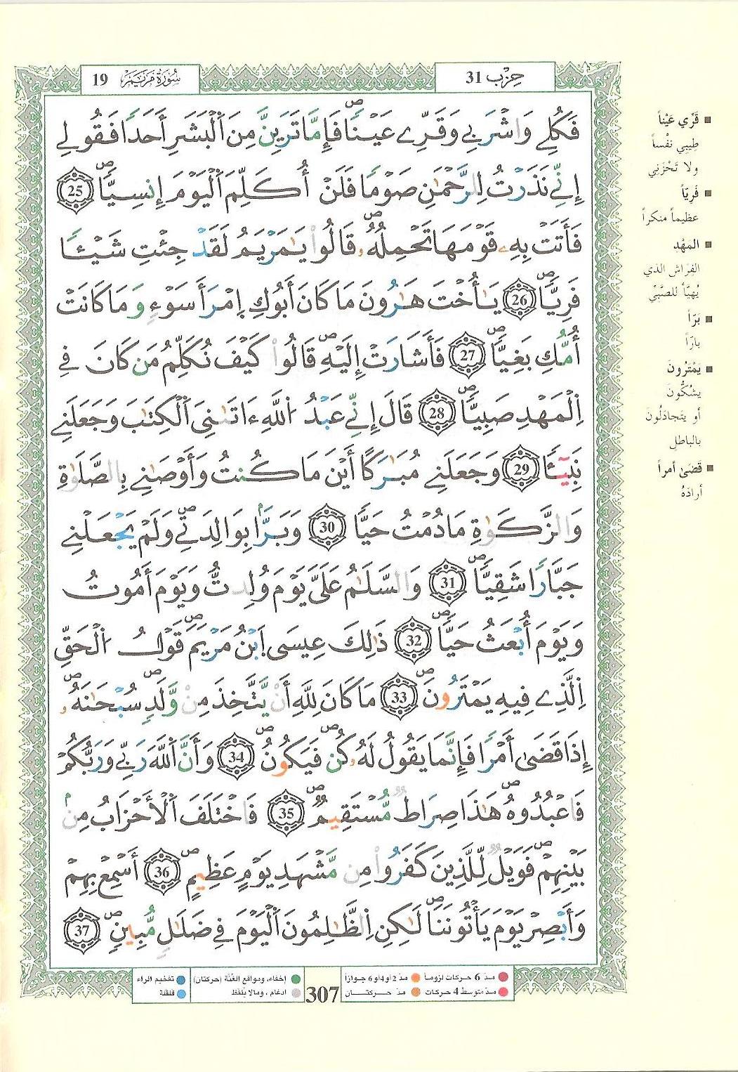 مصحف التجويد - صفحة 307