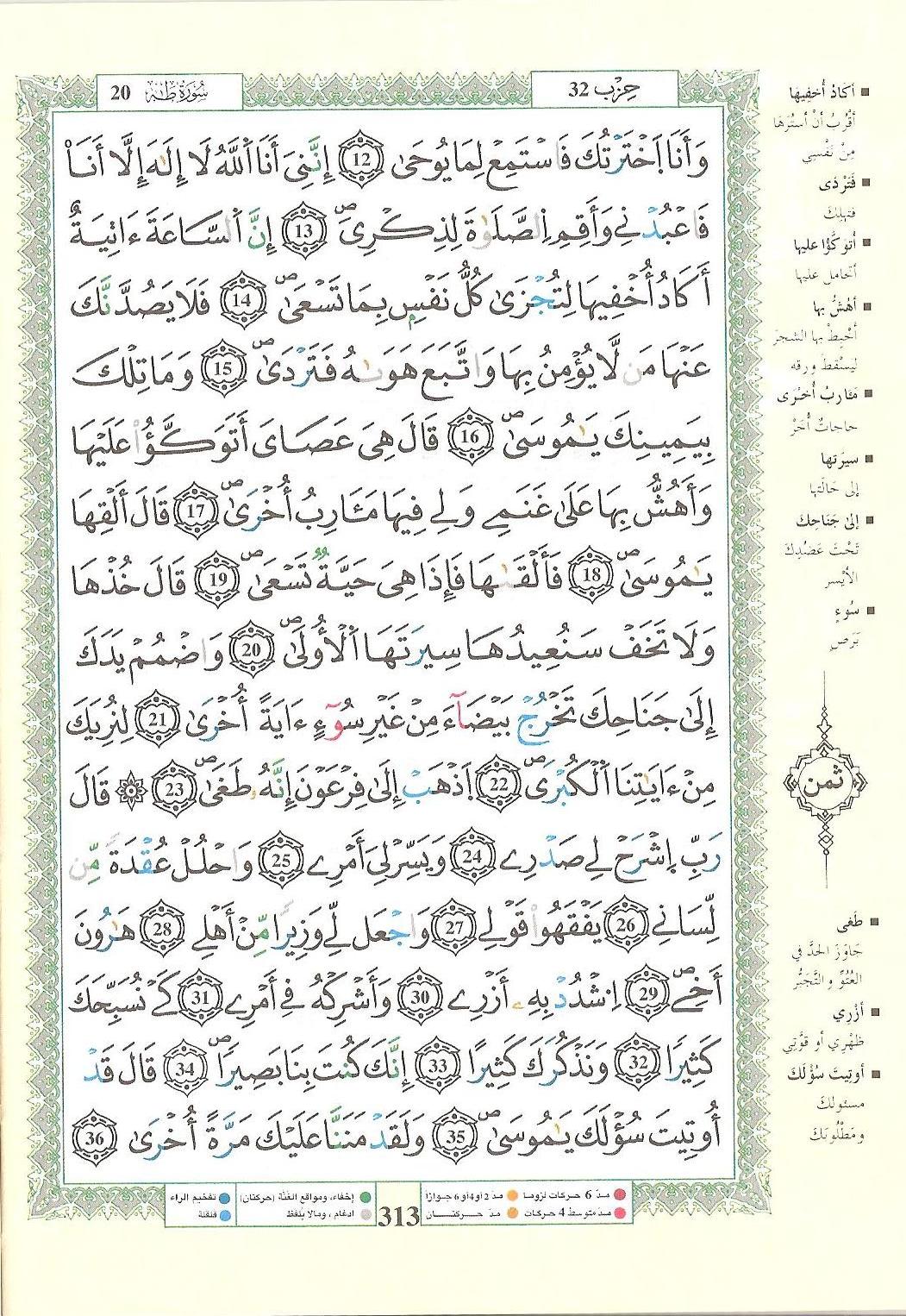 مصحف التجويد - صفحة 313