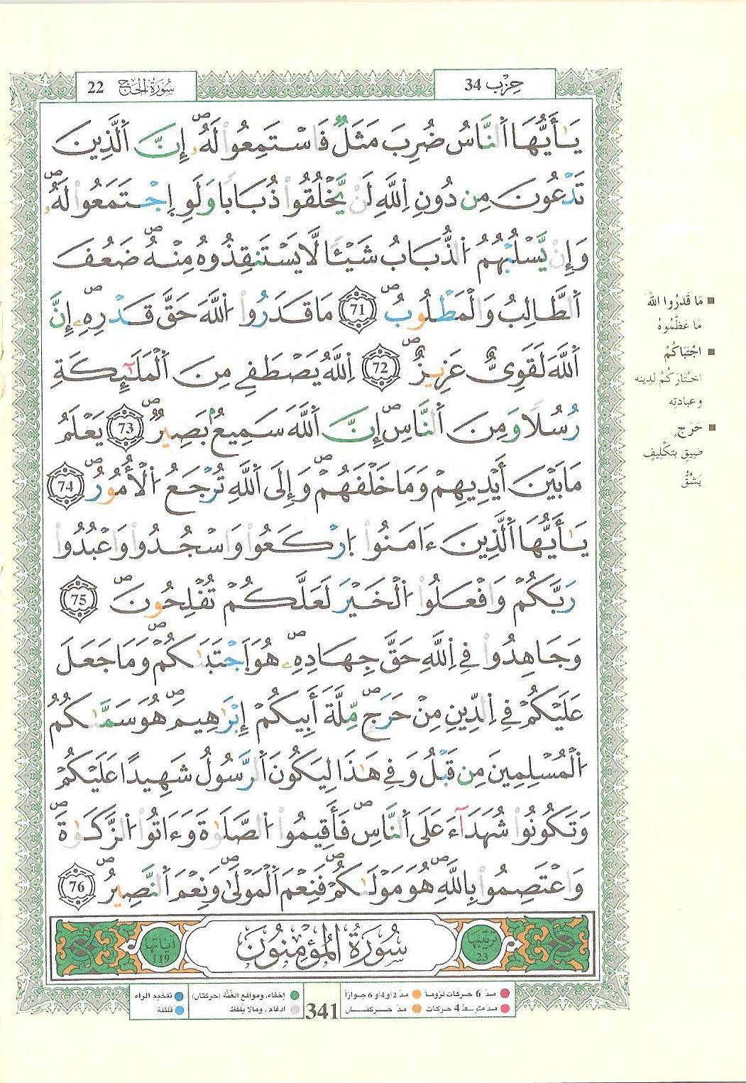 مصحف التجويد - صفحة 341