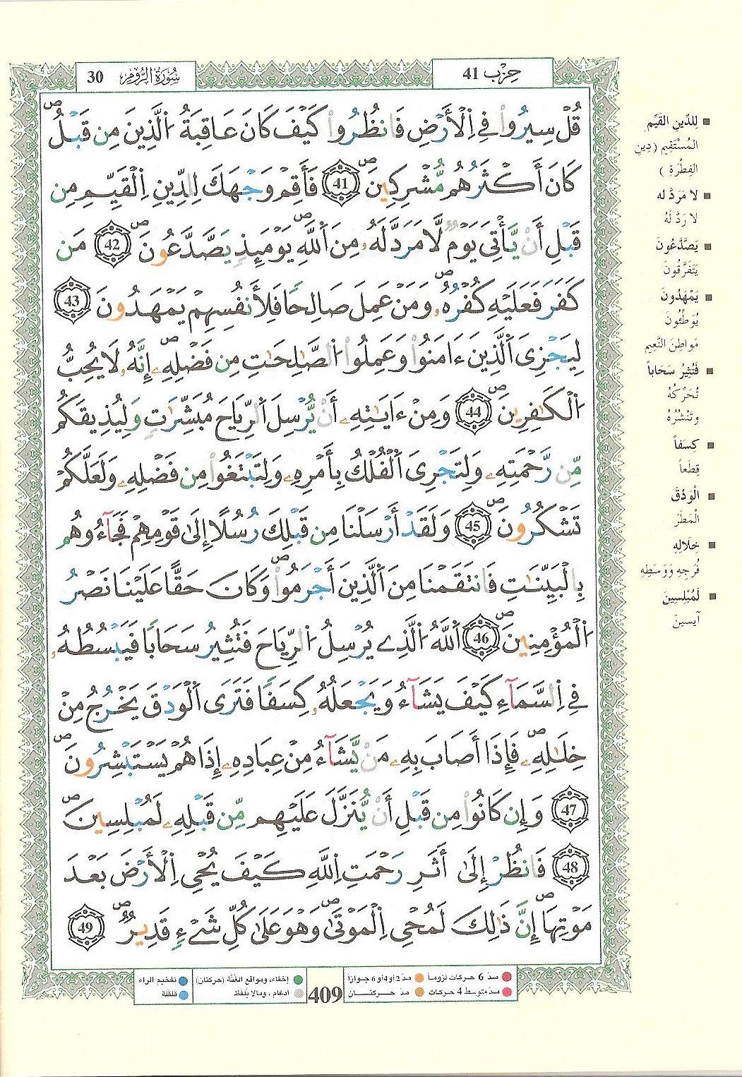 مصحف التجويد - صفحة 409