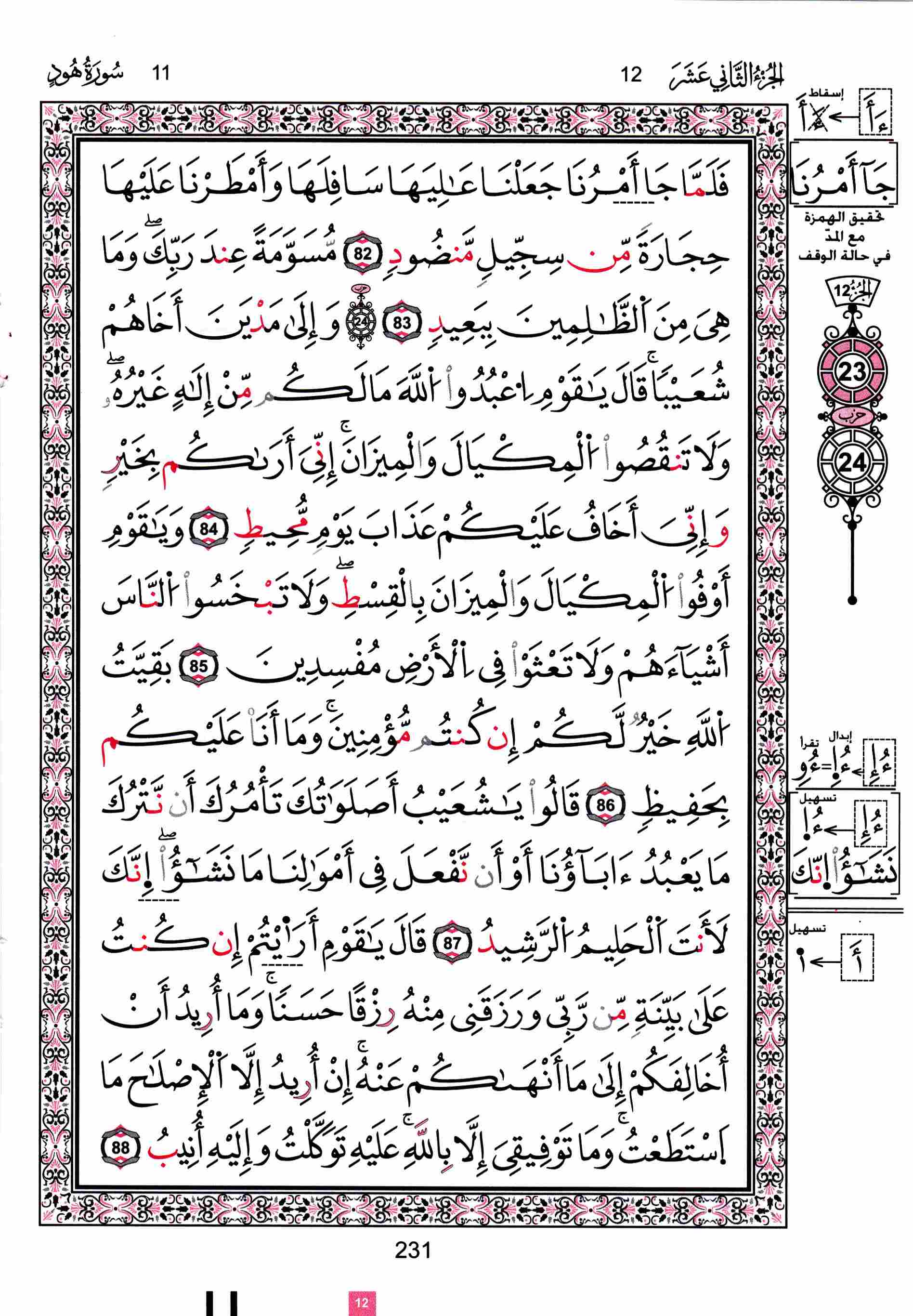 مصحف تونس - صفحة 231