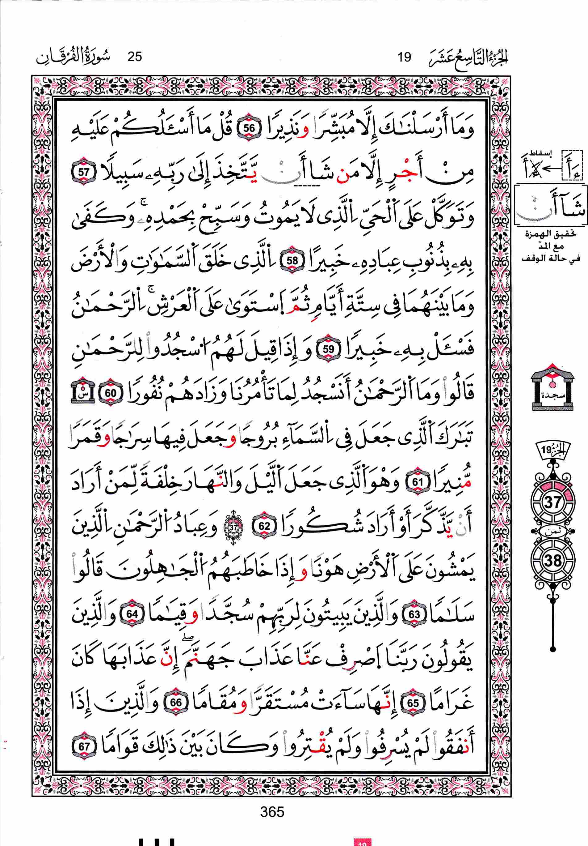 مصحف تونس - صفحة 365