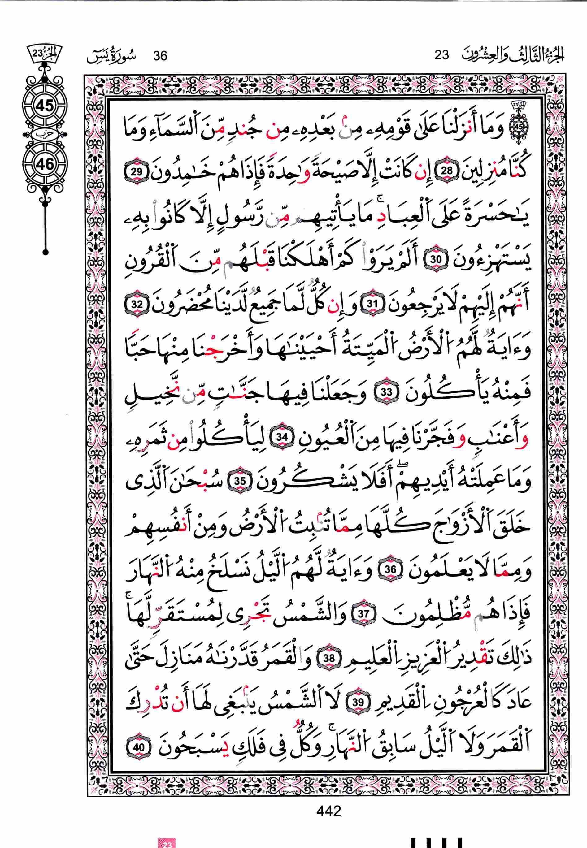 مصحف تونس - صفحة 442