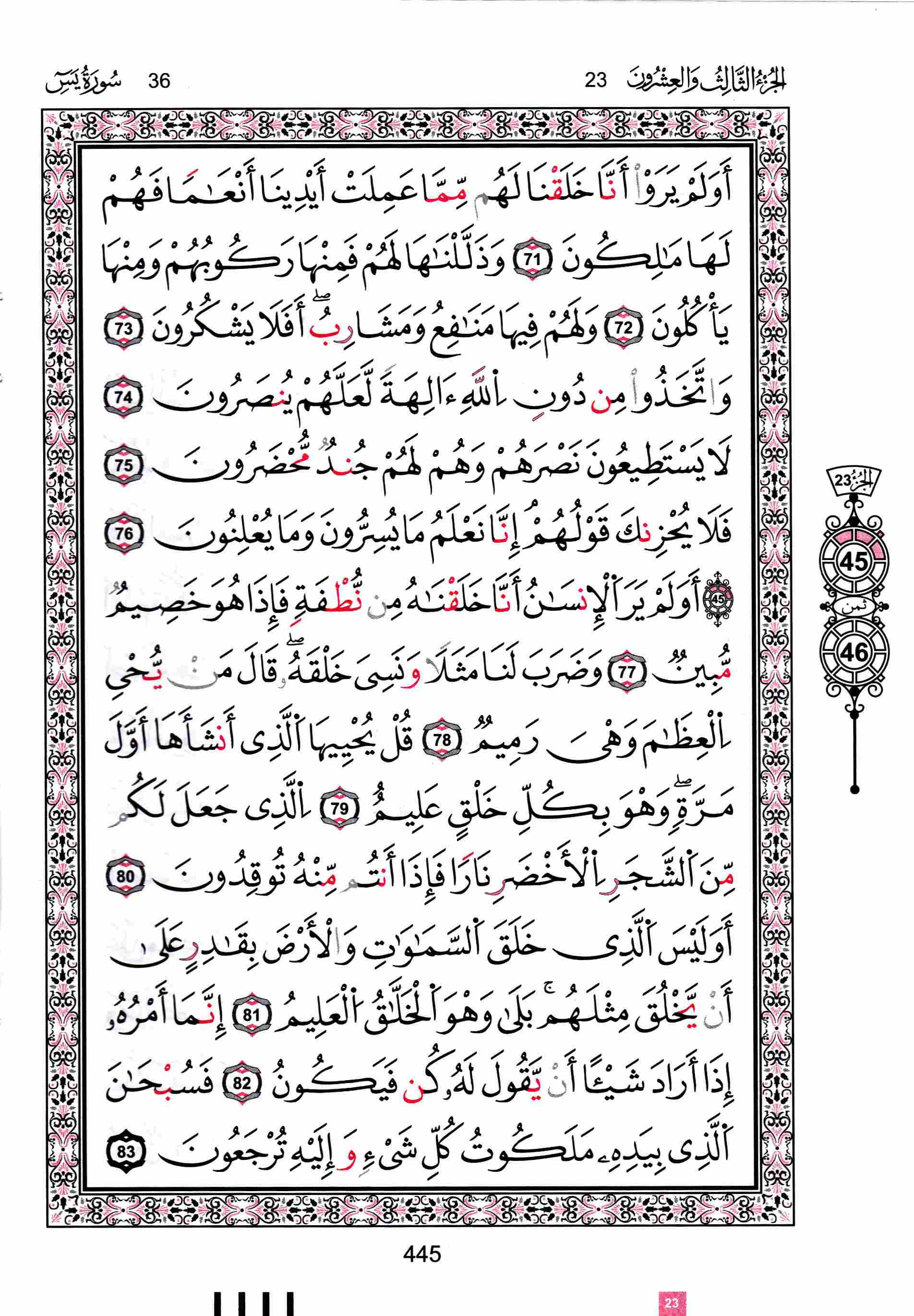 مصحف تونس - صفحة 445