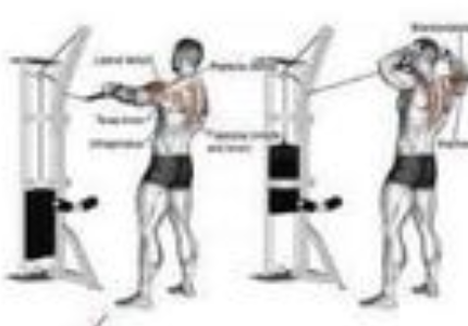 Cable Face Pulls