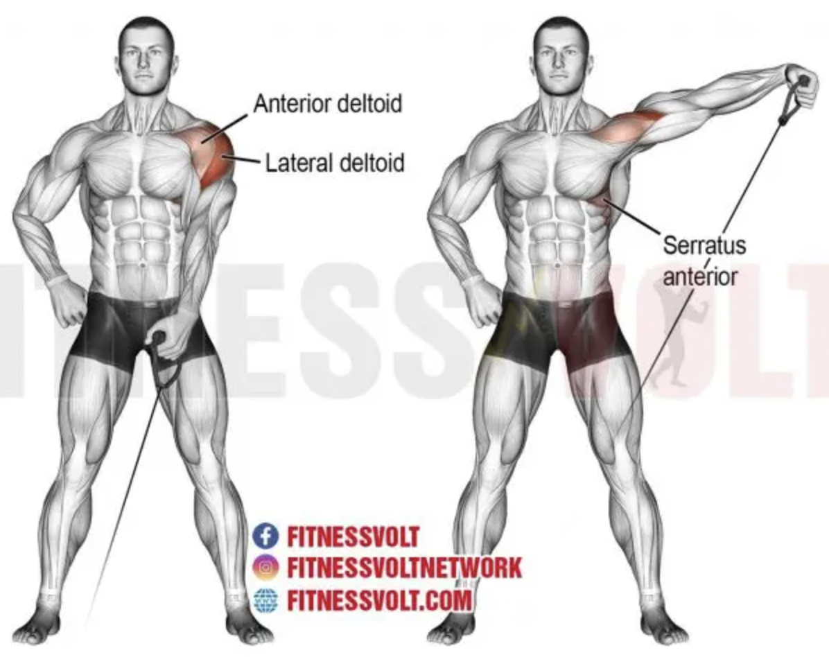 Cable One-Arm Lateral Raise