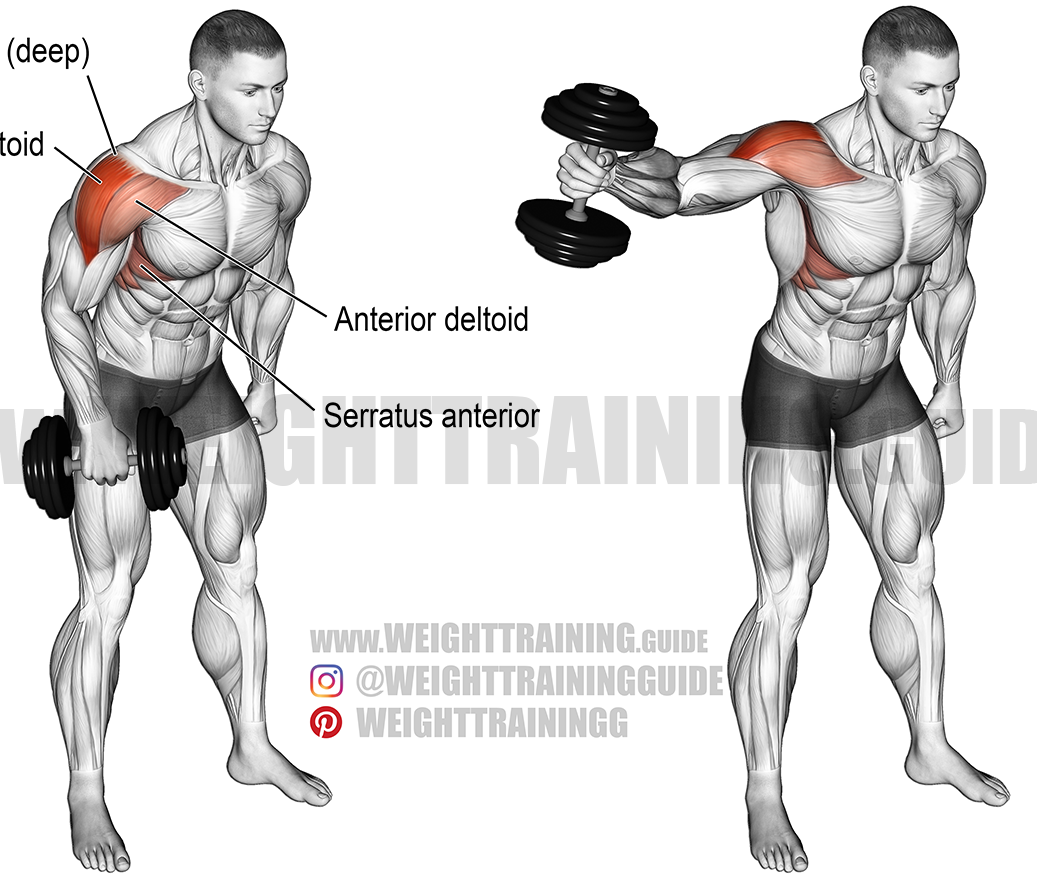 Dumbbell One Arm Lateral Raise